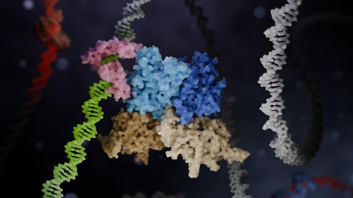 Imágenes de proteínas captadas por Razvan Borza Porumb (Panel Zincore)
