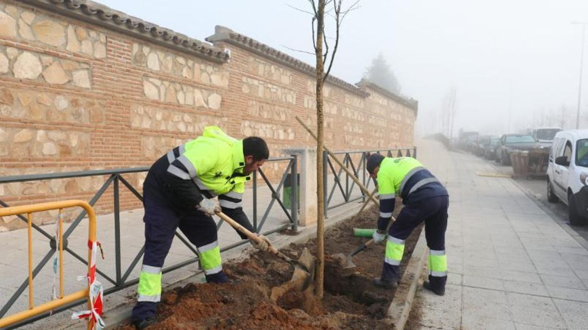 Operarios del Ayuntamiento de Toledo plantan un árbol, en uno de los habituales días de niebla en la ciudad