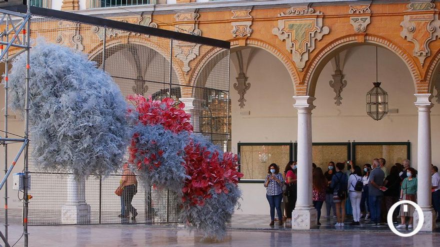 Instalación de Flora 2021 en la Diputación de Córdoba