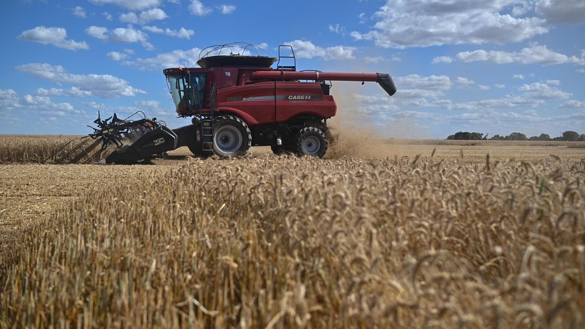 Los agricultores de Castilla-La Mancha ya pueden cosechar con riesgo alto de incendio menos de 12 a 18 horas