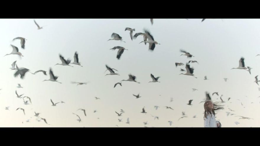 Doce directoras africanas competirán en las dos secciones a concurso del Festival de Cine de Tarifa