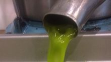 Aceite de oliva