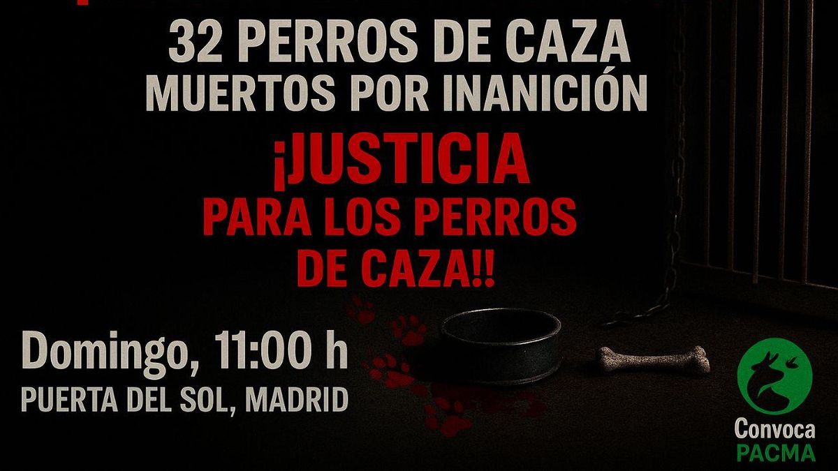 PACMA convoca una concentración urgente en Madrid por la muerte de 32 perros en Azuaga