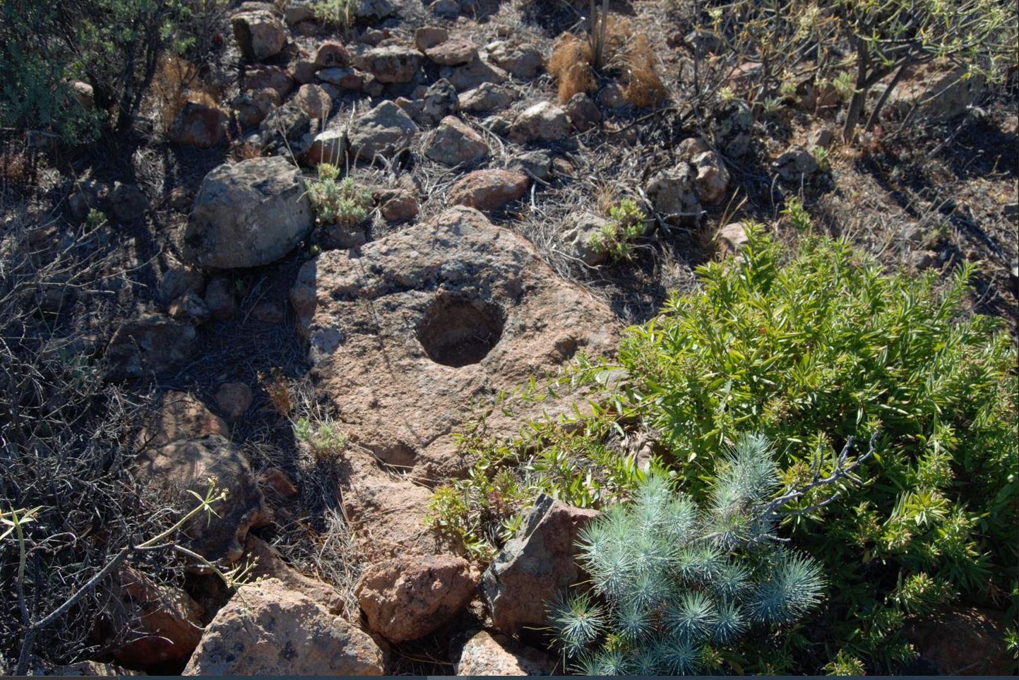 Cazoleta localizada junto al Risco del Drago