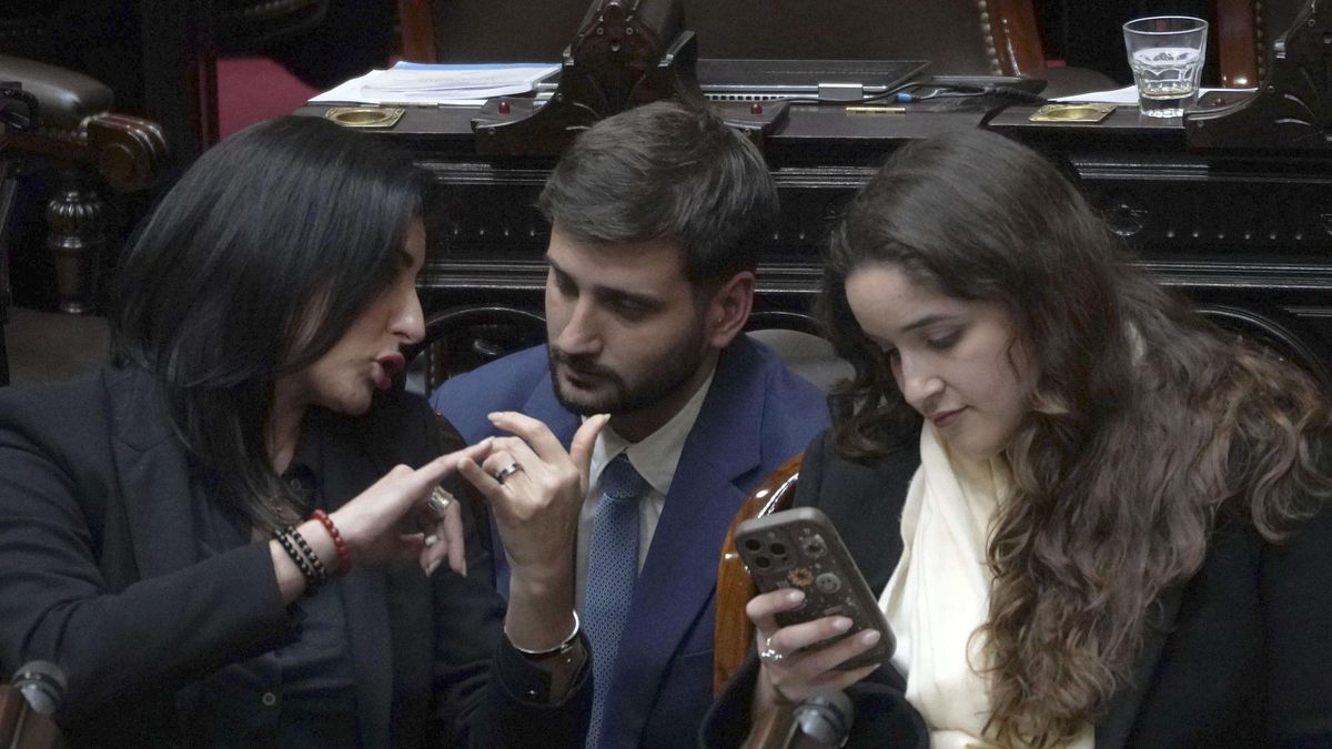 La bancada libertario celebró haber retenido el tercio vetador