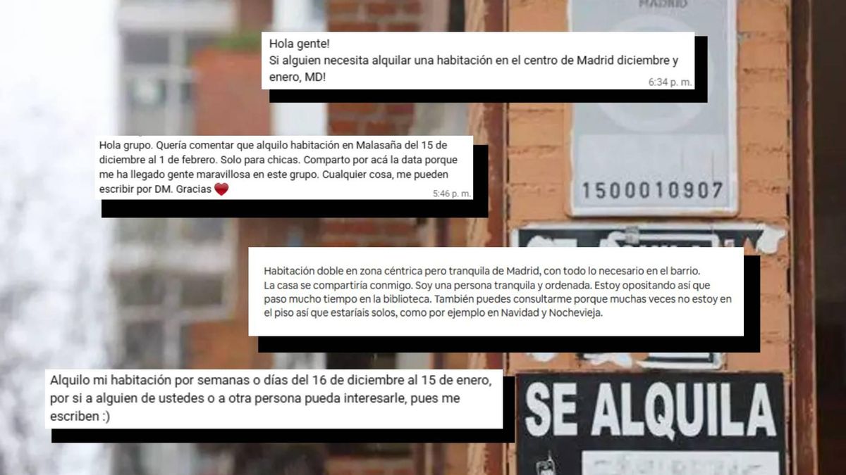 Anuncios difundidos en canales como WhatsApp, Idealista o Milanuncios para subarrendar habitación por Navidad