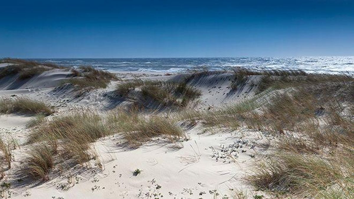 Praia de São Jacinto