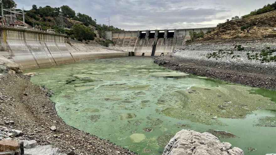 Extremadura admite preocupación por la calidad del agua del Tajo tras los desembalses en Monfragüe