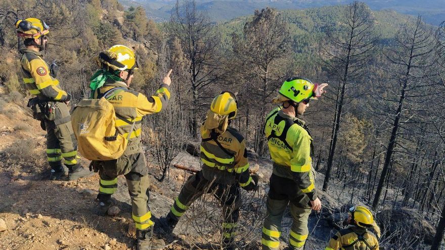 El Gobierno de Aragón tomará "las medidas necesarias" contra los incendios para "prevenir lo que se nos viene encima"