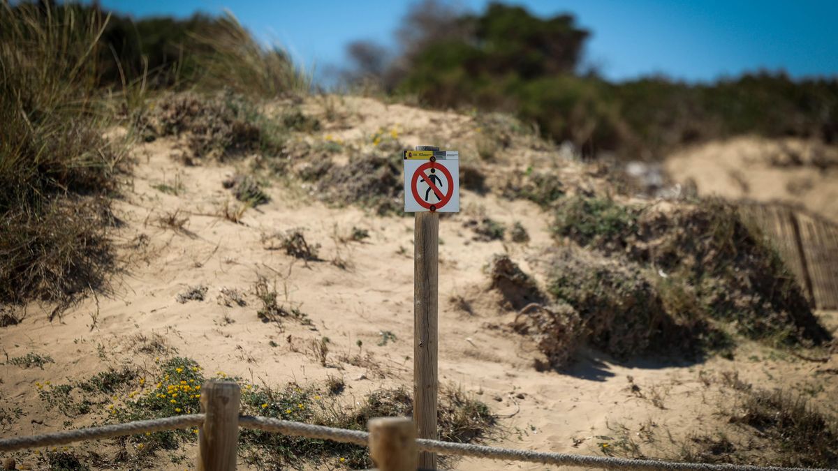 Un cartel advierte la prohibición de pisar el sistema dunar del parque natural.