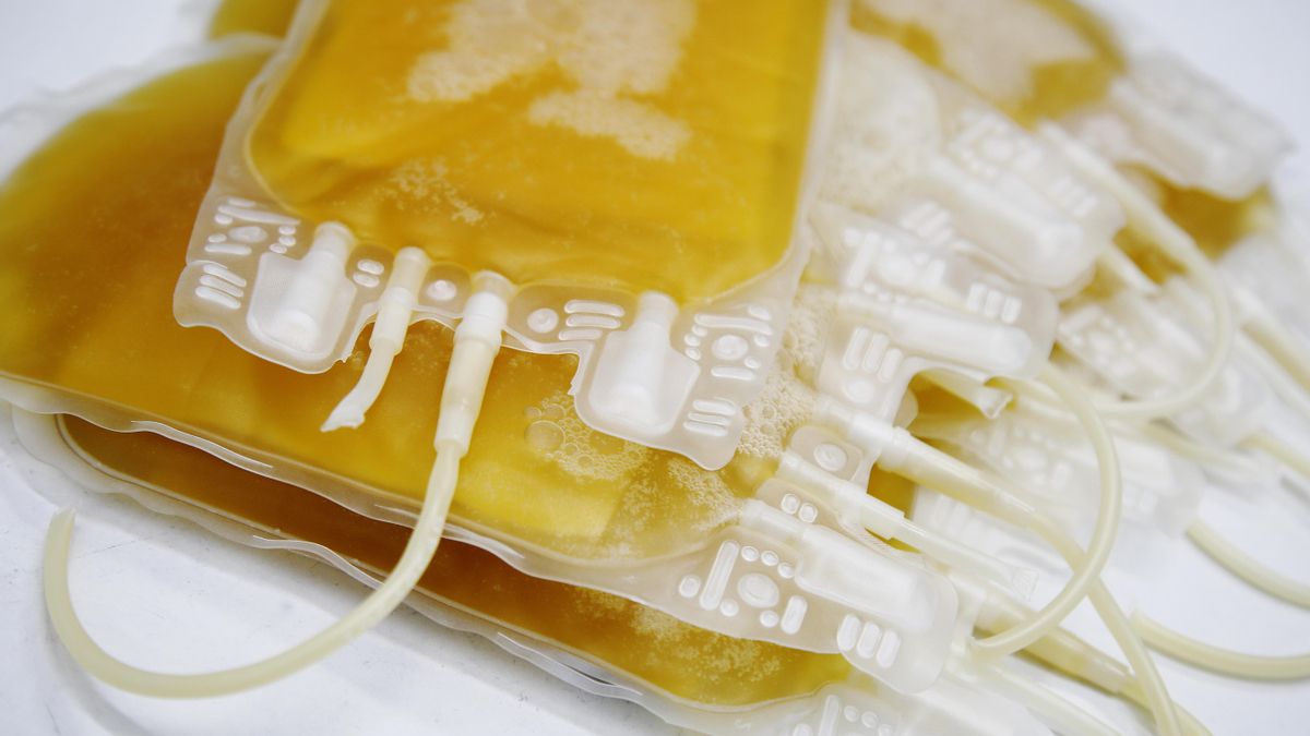 Un banco de sangre canario "parcheado" que subsiste con máquinas obsoletas para conservar el plasma