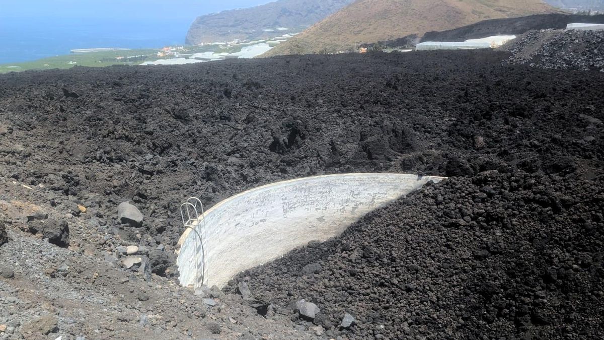 Fincas agrarias sepultadas por la lava del volcán  Tajogaite en 2021.