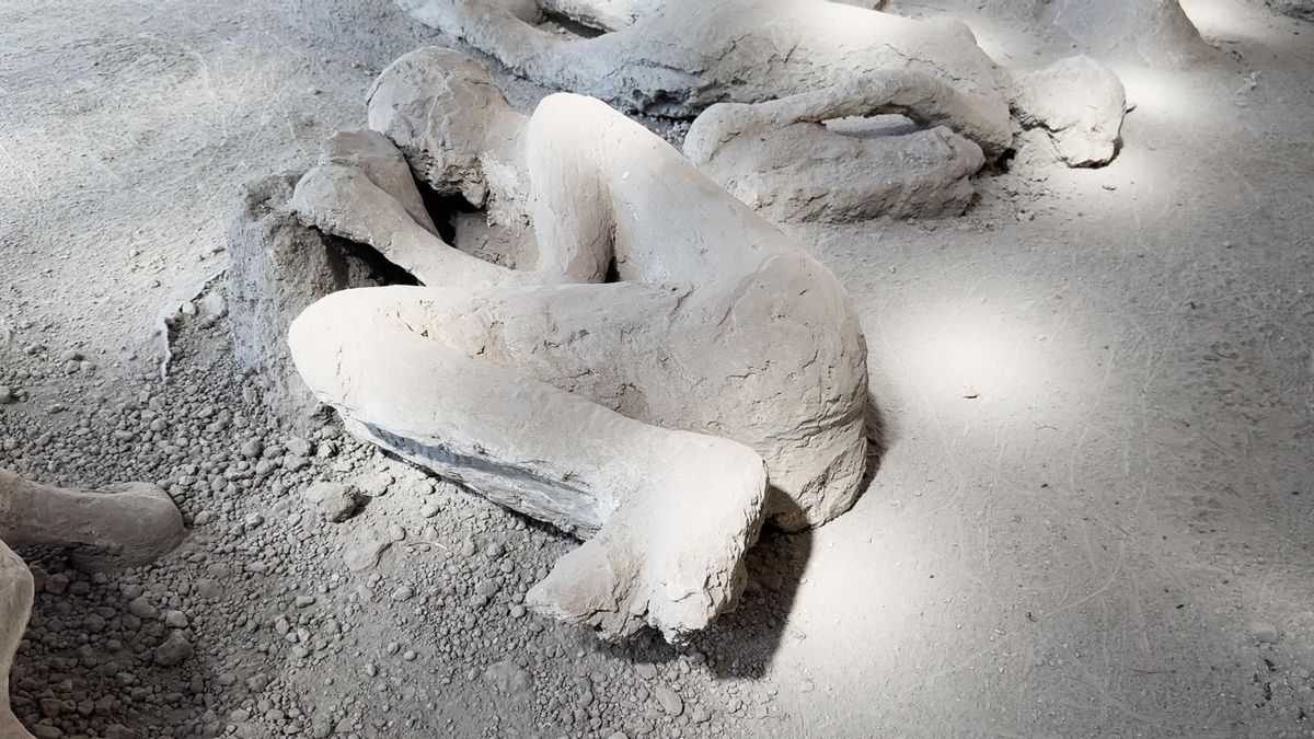 Una víctima de Pompeya podría finalmente tener identidad: un médico que huyó con sus herramientas