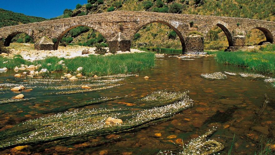 Otra vista del puente, en primavera