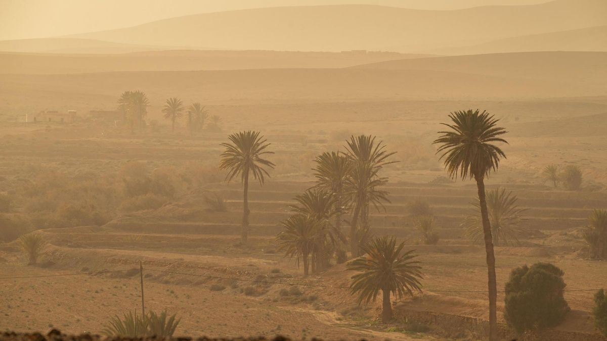 Hasta cuándo va a durar la calima en Canarias: esto dice Aemet