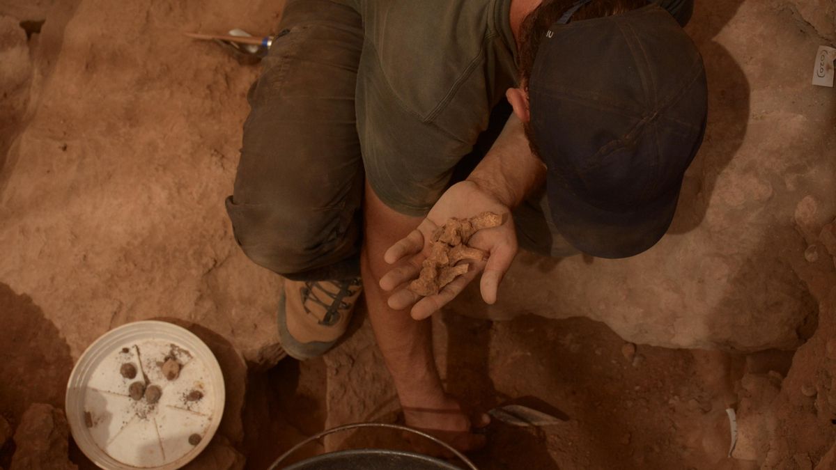 Restos encontrados en el yacimiento durante las excavaciones.
