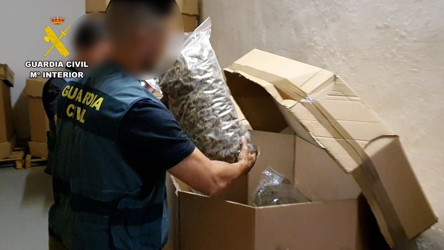 El mayor alijo internacional de marihuana descubierto hasta ahora: 32 toneladas en cuatro provincias