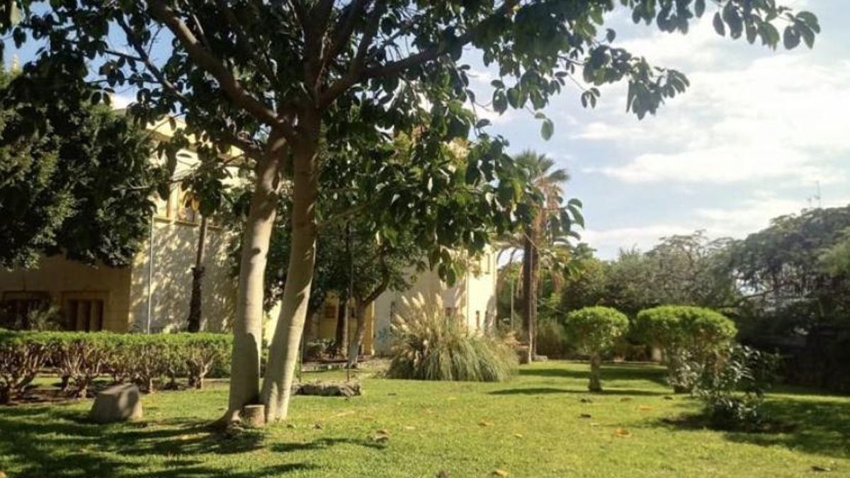 Parque Viera y Clavijo en Santa Cruz de Tenerife.