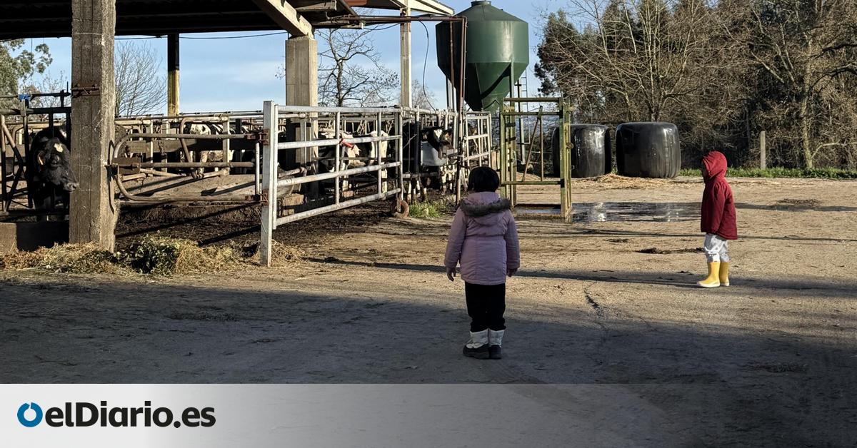 “Jugamos al aire libre, pero no hay pediatra y necesitamos coche para todo”: así es criar en entornos rurales