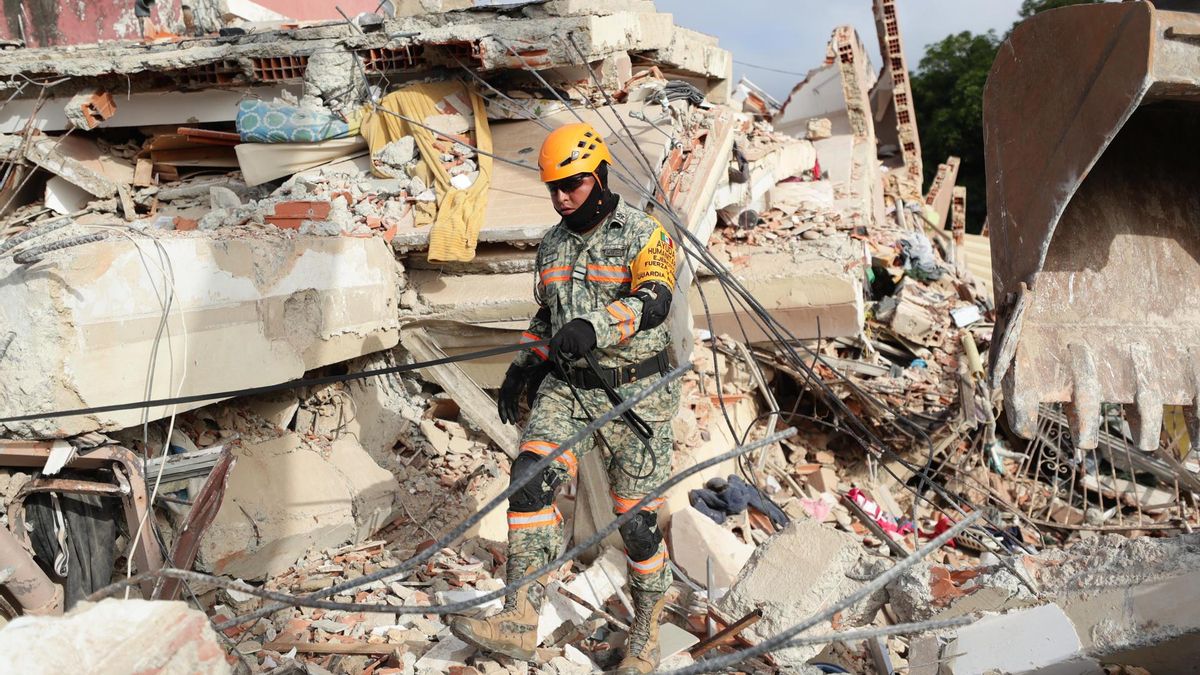 Un rescatista del Ejercito de México junto a su perro trabajan en un edificio afectado por un terremoto este viernes, en La Guaira (Venezuela).
