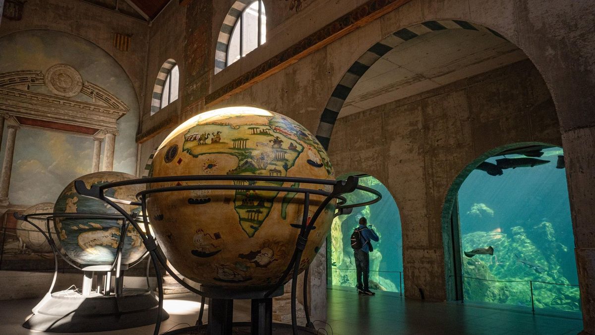 Sala del Descubrimiento Bioparc Fuengirola.