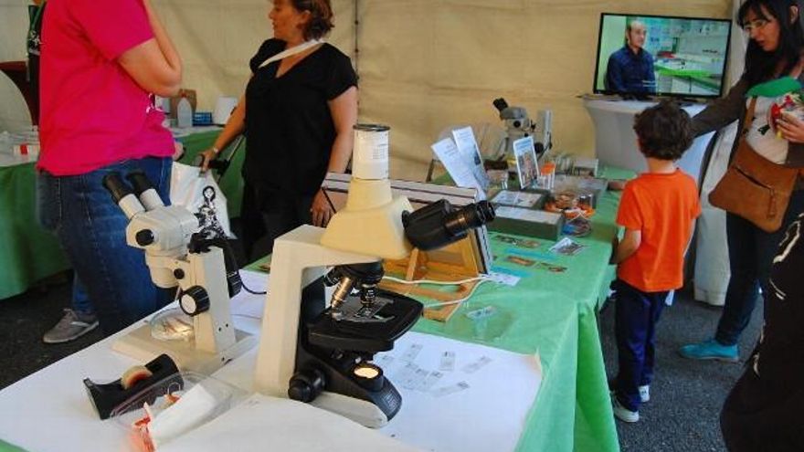 Uno de los puestos de divulgación para la observación con microscopios de calidad. Foto: Uribe.
