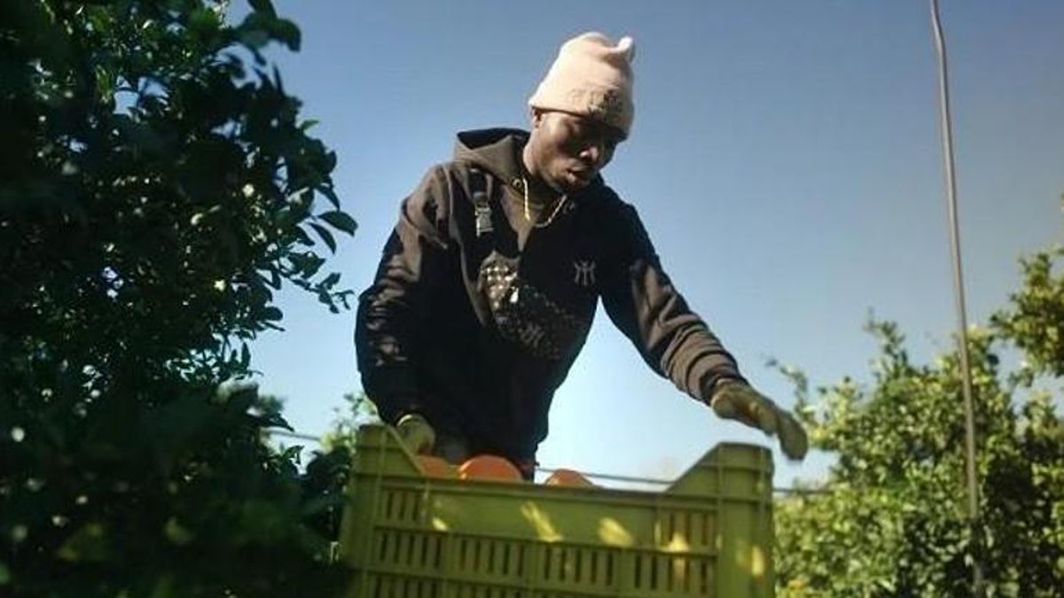 León proyecta un documental inscrito en la campaña europea contra la explotación en el sector agroalimentario