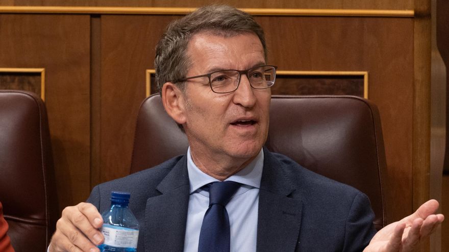 La secretaria general del PP, Cuca Gamarra y el líder del PP, y el líder del PP, Alberto Núñez Feijóo, durante una sesión plenaria, en el Congreso de los Diputados, a 12 de diciembre de 2023, en Madrid (España).