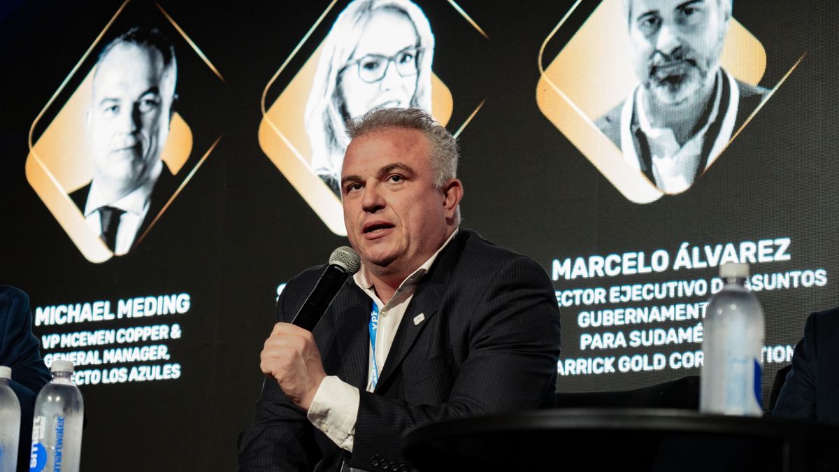 Michael Meding, CEO de la mina de cobre Los Azules: "Hay que ver la contribución de cada glaciar al sistema hídrico"