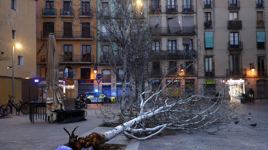 Última hora del temporal por la borrasca Nils, en directo