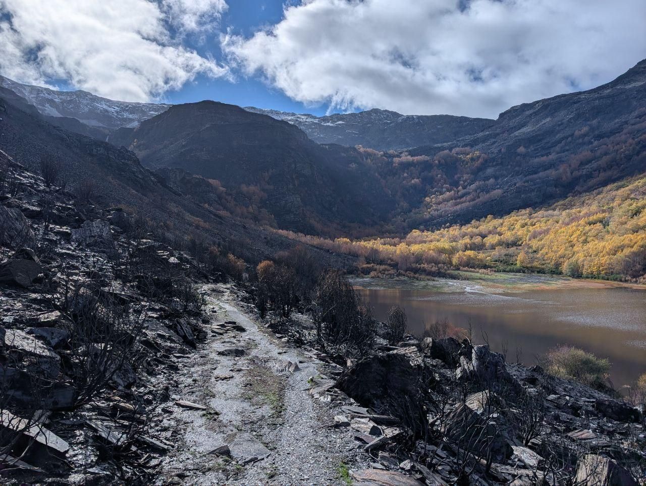 El Lago de la Baña tres meses después de ser arrasado por el fuego
