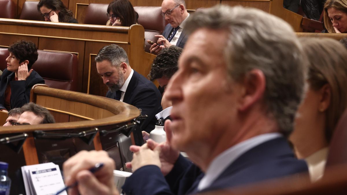 Las cesiones del PP de Feijóo a Vox en su documento para dar "gobiernos estables" a las autonomías