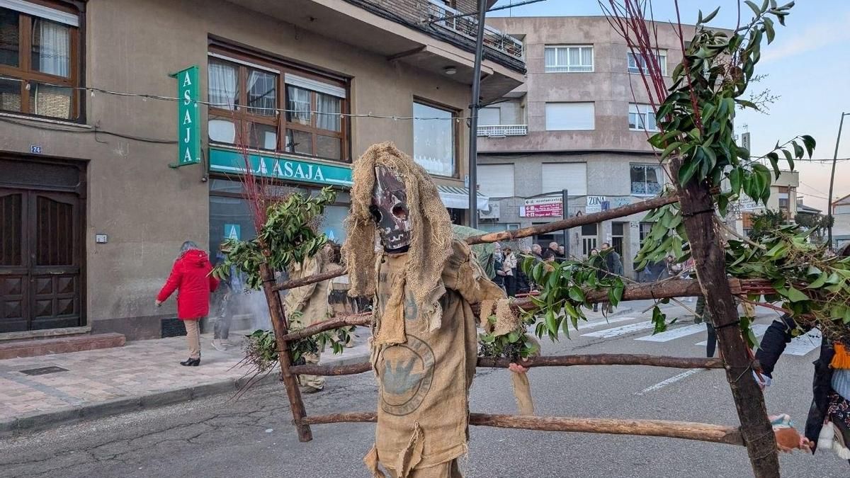 Antruejo de Carrizo de la Ribera.