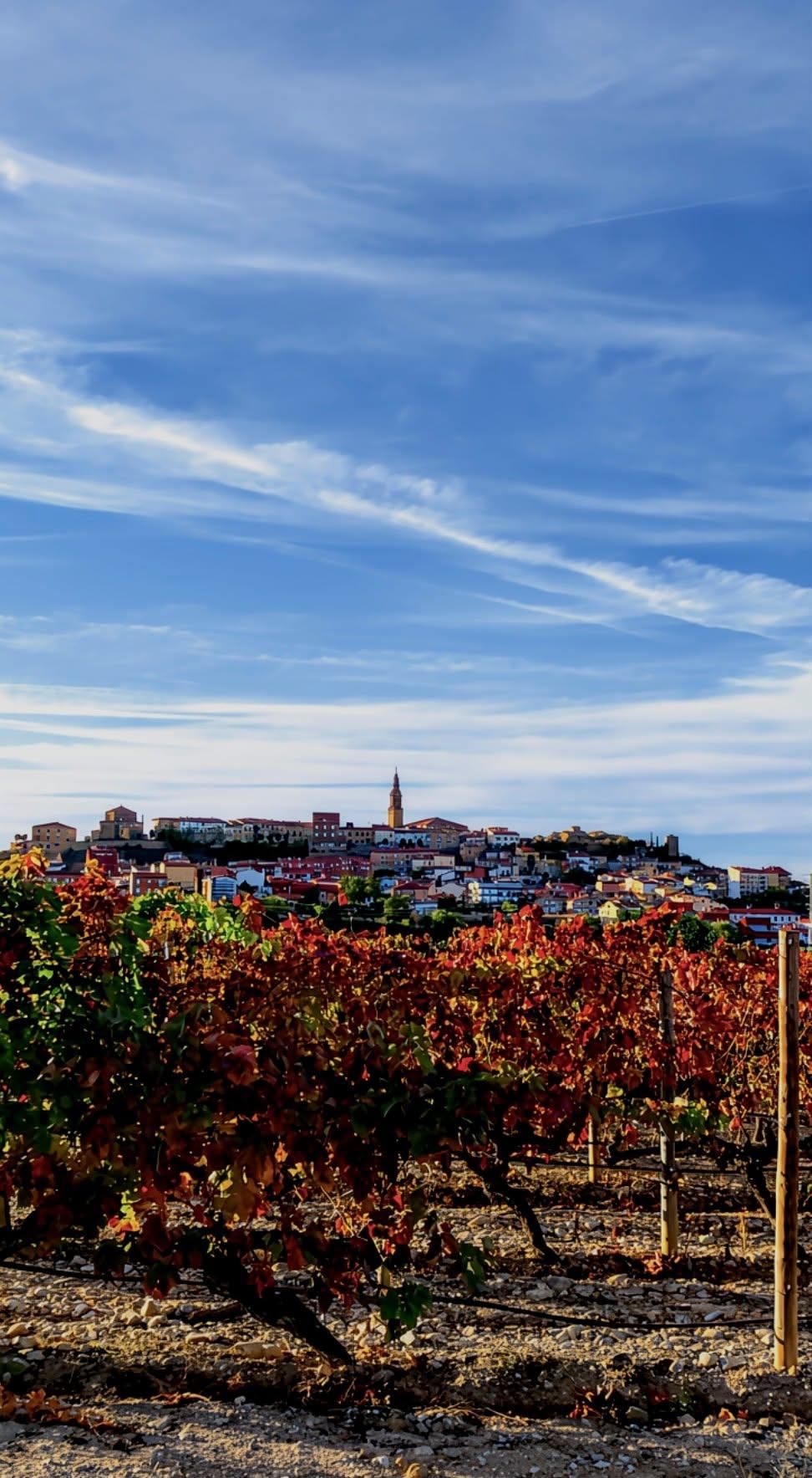 Todas las fotos del concurso 'Disfruta La Rioja' (Parte 1): 120 miradas al verano en nuestra región