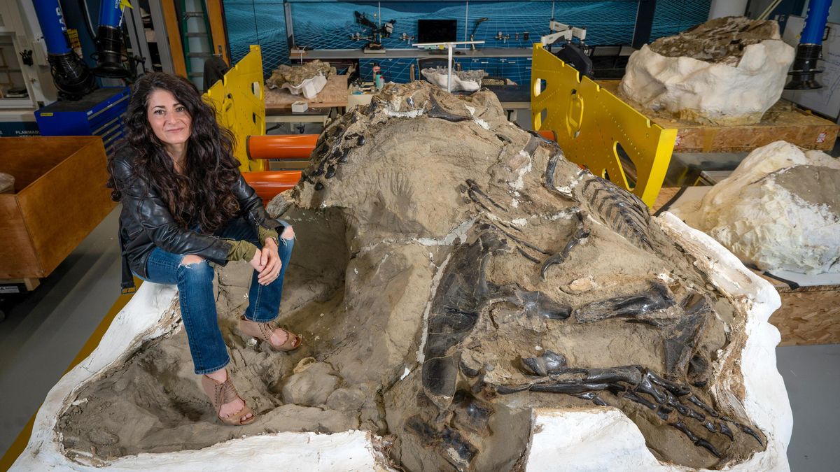 La paleontóloga Lindsay Zanno posa con el famoso fósil de "Dinosaurios en duelo" que ha sido determinante en la investigación.
