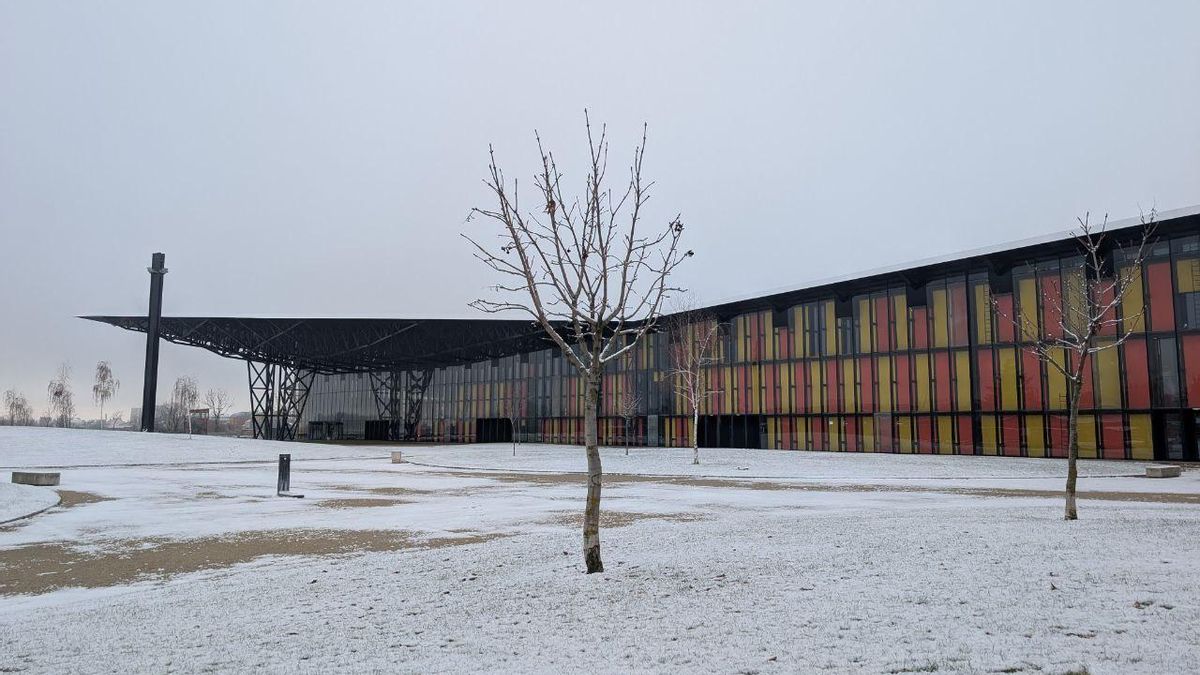 Postales de León nevado: las imágenes que deja la primera nevada del año en la capital