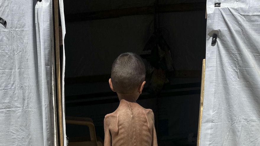 La UE permanece inmóvil mientras Israel asesina palestinos en busca de ayuda humanitaria