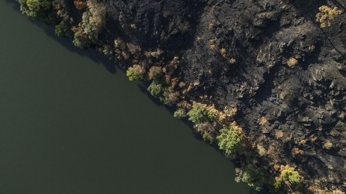 La Xunta rechaza prohibir la caza alrededor de los terrenos afectados por los incendios