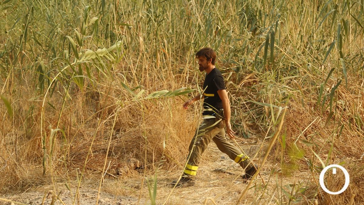 Batida de búsqueda de Enrique Barona