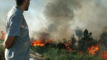 Cocinas ecológicas y cuidado forestal salvan vidas y frenan el calentamiento, asegura el BM