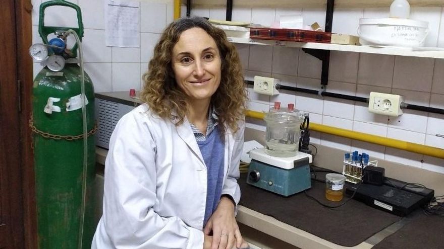 Alerta mosquitos y rayos UV: el Conicet desarrolla un producto que es filtro solar, repelente y antiinflamatorio