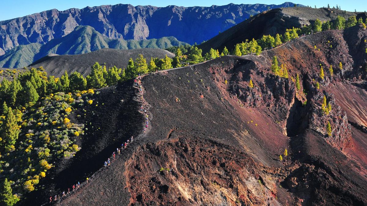 Imagen de archivo de participantes en la Transvulcania.