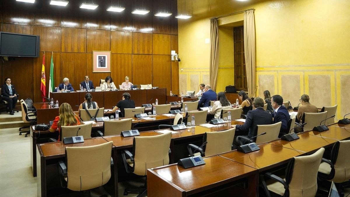 Imagen de este martes de la comparecencia del director general de la RTVA, Juan de Dios Mellado, en comisión parlamentaria.