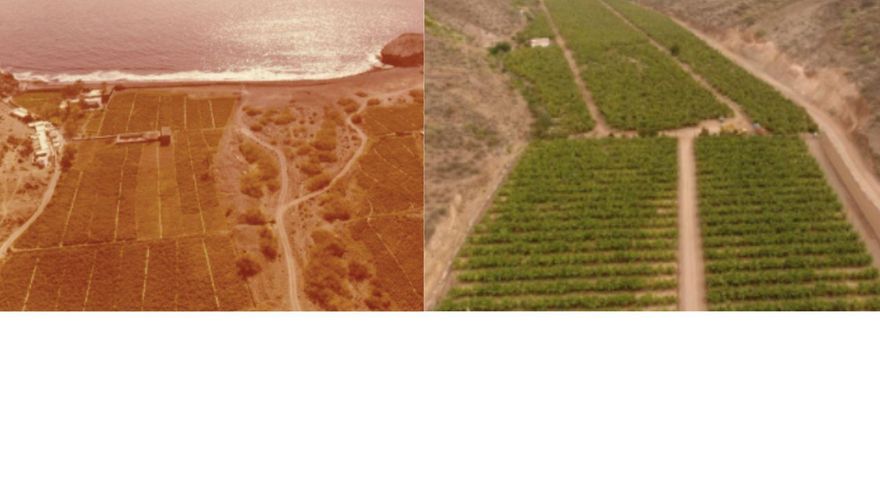 La promotora del barranco de Veneguera niega haber dañado patrimonio arqueológico