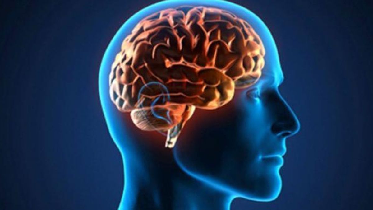 Día mundial del cerebro