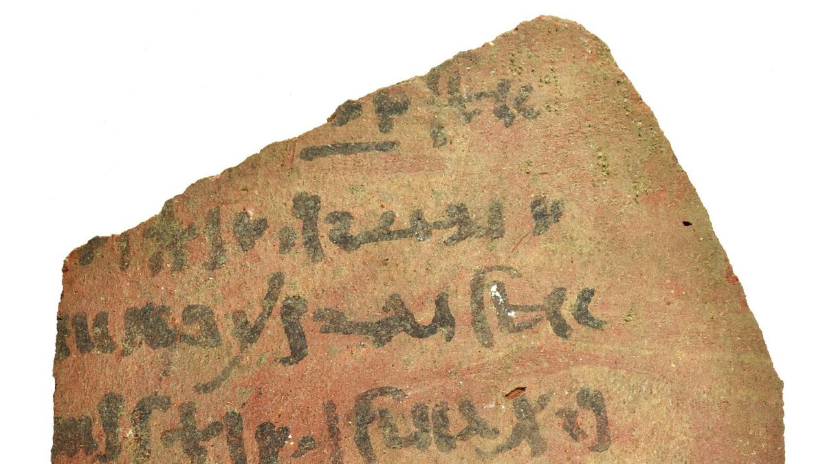 El yacimiento del Alto Egipto que arroja un tesoro sin precedentes en forma de fragmentos de cerámica