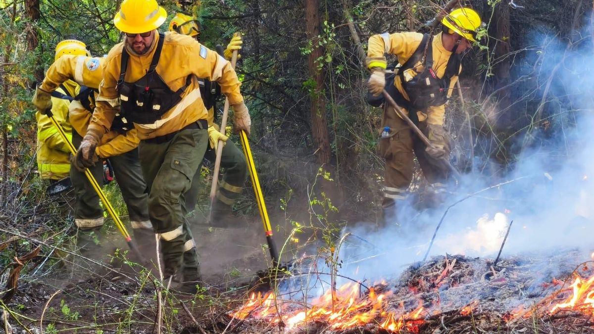 Ya hay más de 40.000 hectáreas arrasadas por el fuego en la Patagonia.