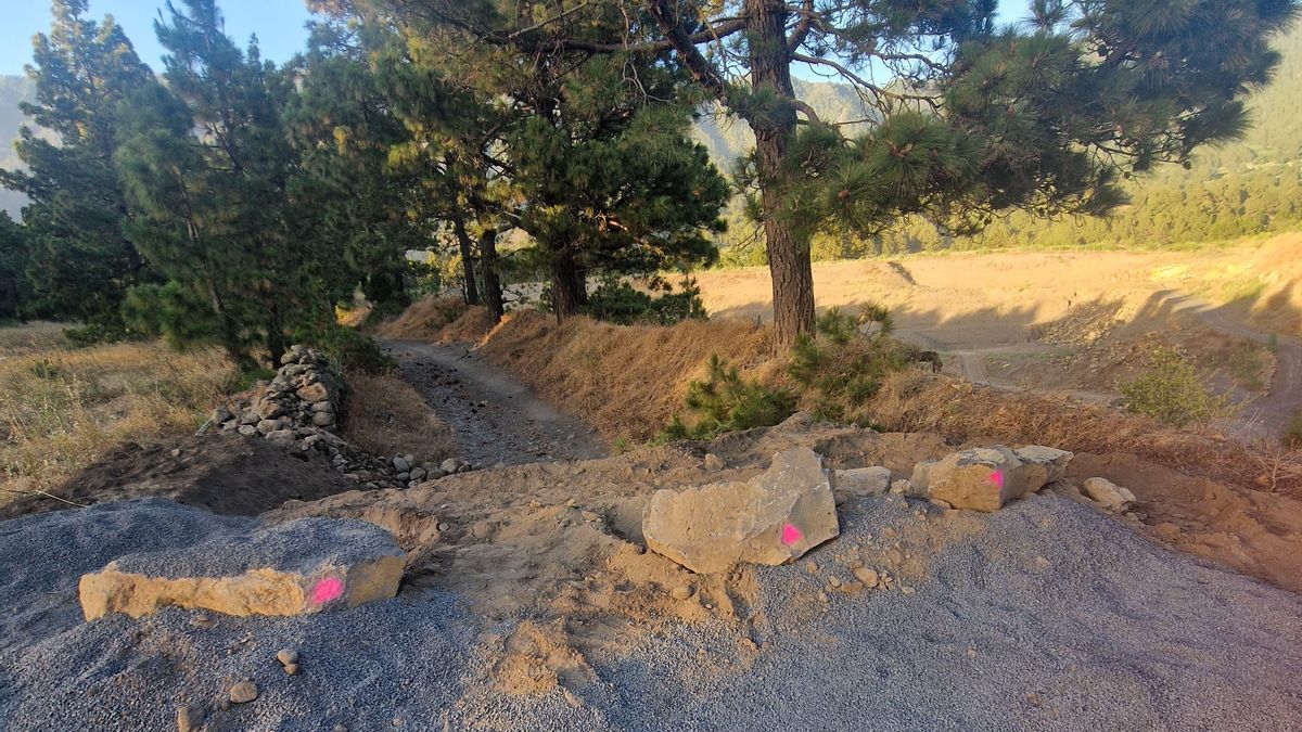 El Grupo Socialista ha presentado una moción para que  el pleno del Ayuntamiento de El Paso "tome medidas reales ante el daño causado al Camino de Las Palomas”.