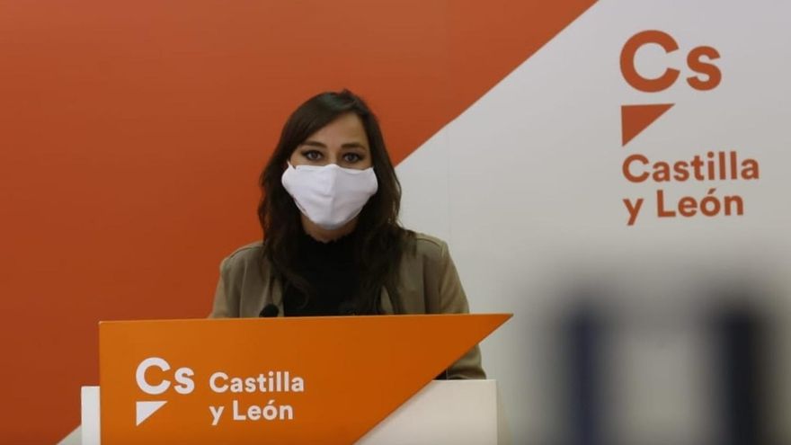 gemma villarroel pandemia política autonómica castilla y león ciudadanos