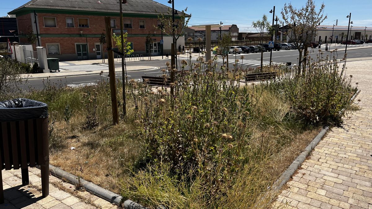 El PSOE de Calahorra denuncia el "abandono" de las zonas ajardinadas de la nueva estación intermodal, inaugurada hace seis meses